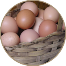 Jehovah-Jireh Farm: Local, pasture-raised meats and eggs